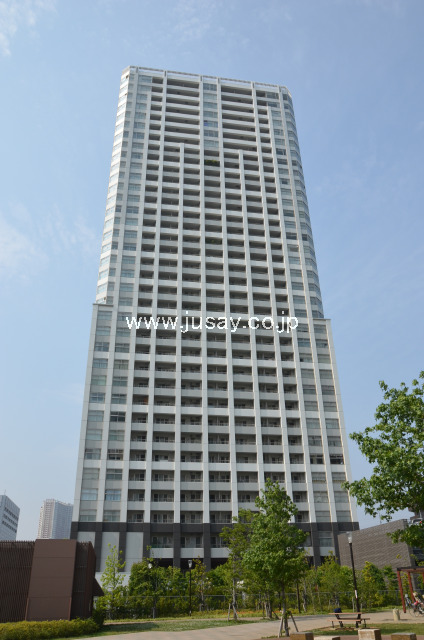 8591画像